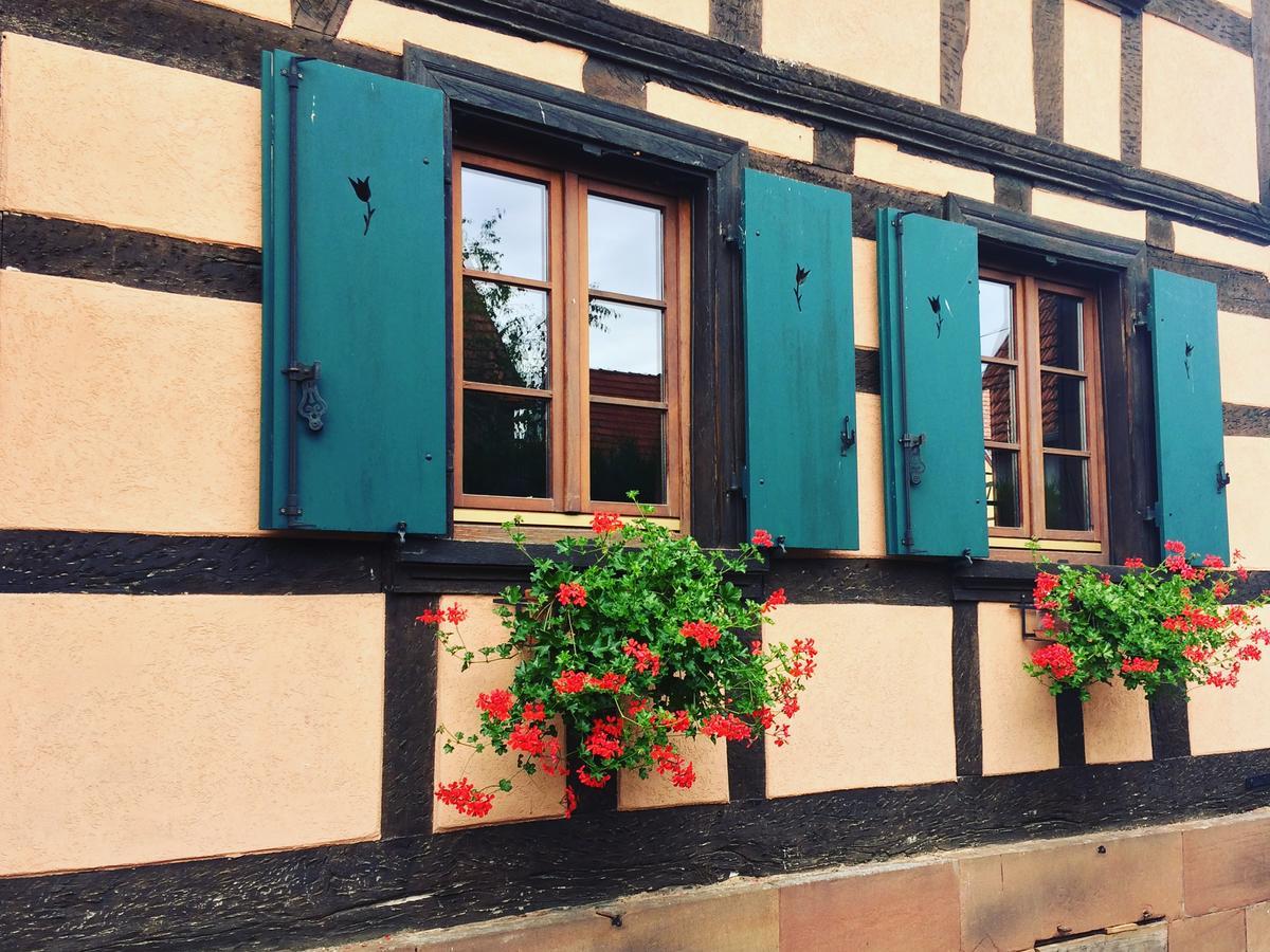 Chambres D'Hotes S'Burehiesel Schillersdorf Exteriör bild